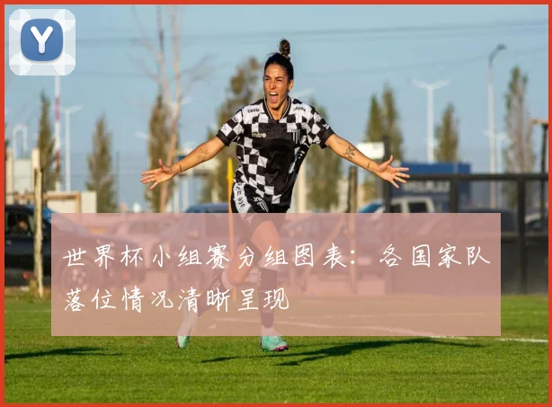世界杯小组赛分组图表：各国家队落位情况清晰呈现